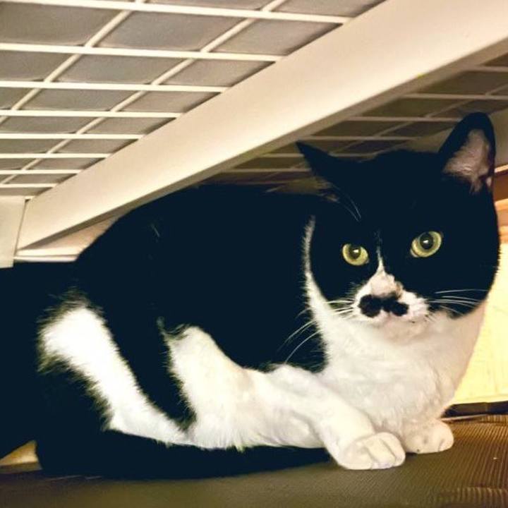 Ce8cc636 f7d2 452c abda e55105b5647a 1707177631573