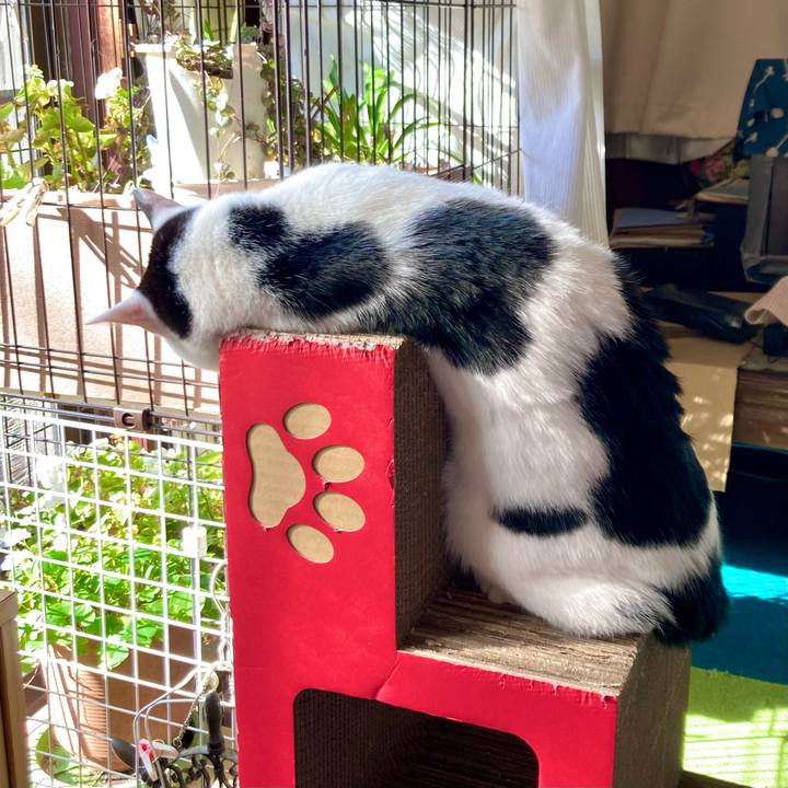 Ce8cd3ce 5282 4aa4 bf6b 0d869773928f 1670563532729