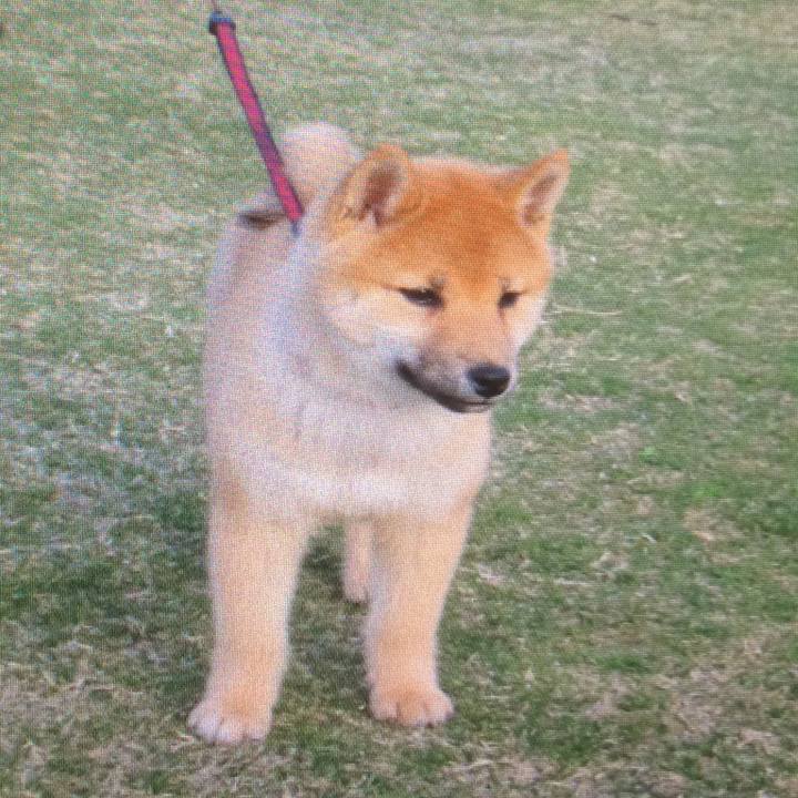 Ce8d0102 a5a2 4250 9f33 c722744c1015 1763972689874