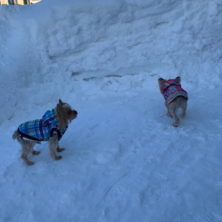 Ce8d0b94 9d21 458a 9569 667f223ff3a0 1613037195338