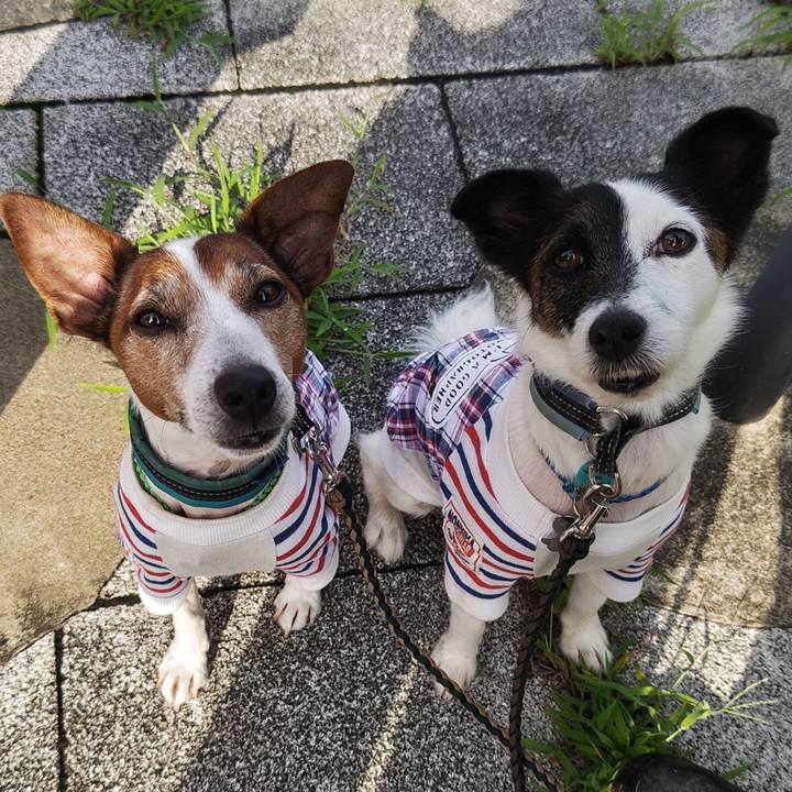 Ce8d7e19 f571 4887 b0ac cf2f71af8957 1751062349968