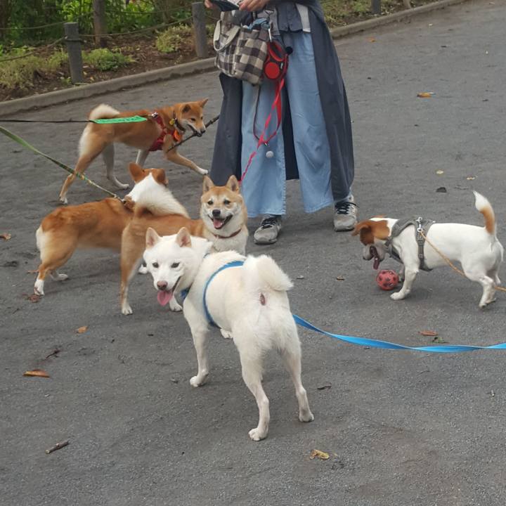 Ce8d9fd5 8f84 4401 80fe 0d77b8a0473b 1572332168624