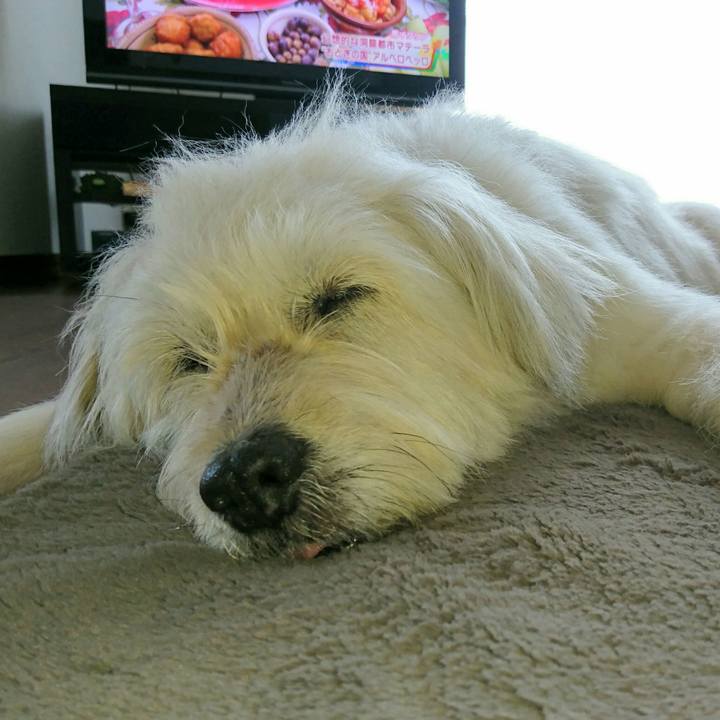 Ce8da674 6157 4830 83a4 8897d4ee5743 1561161215246