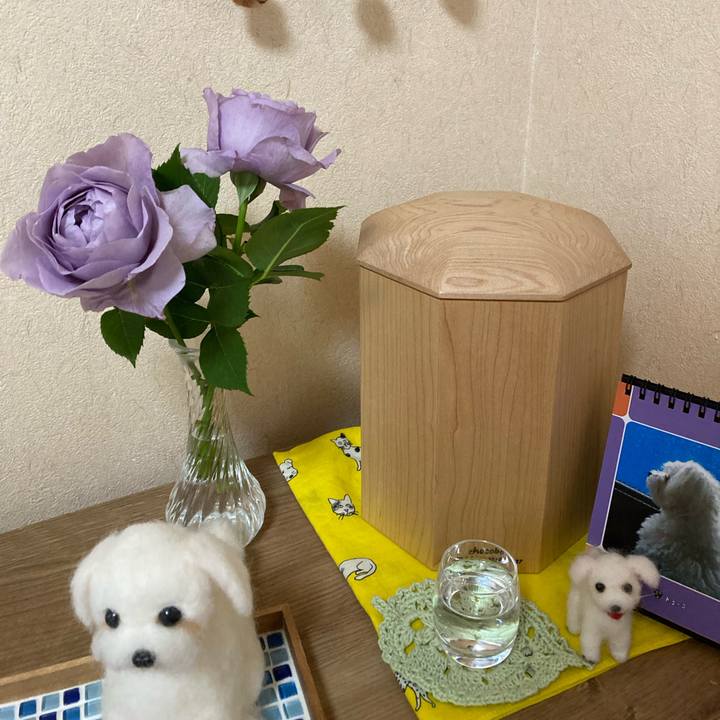 Ce8da77c 744c 42a3 a38a 8301a6d3b503 1683642008033