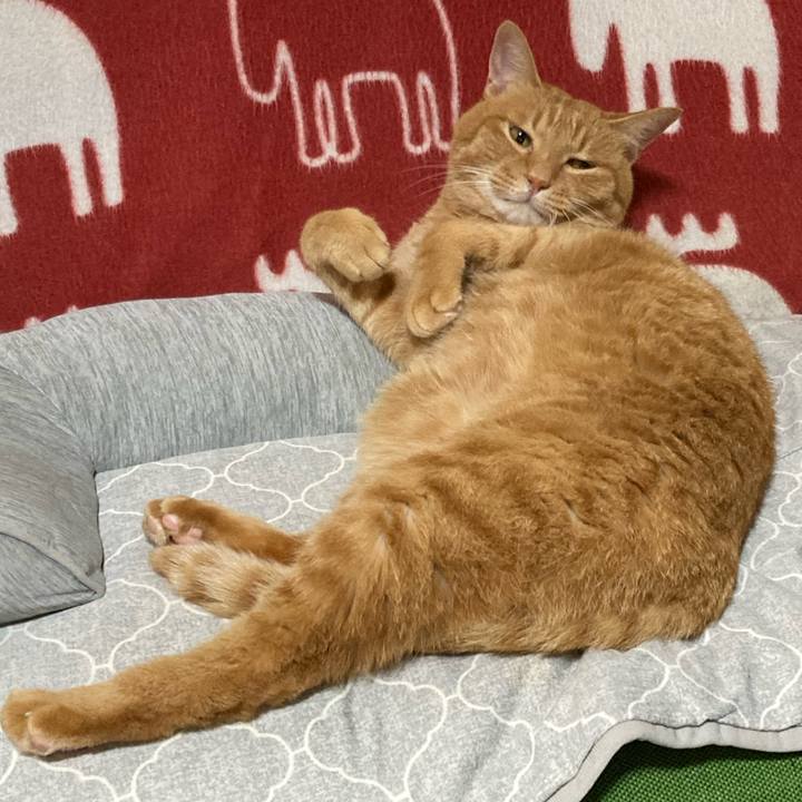 Ce8dbd0d 8821 40e9 ba64 8bb3c700d735 1758285116837