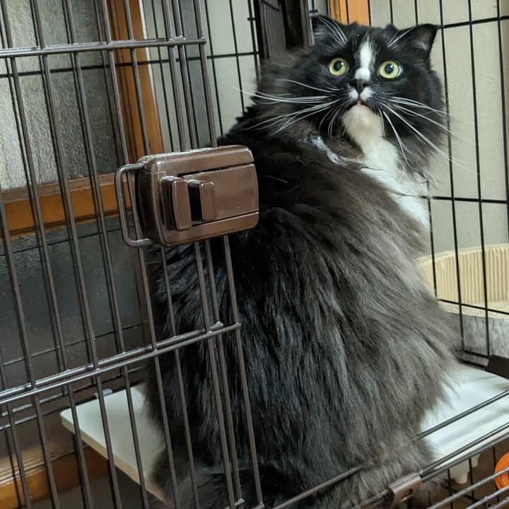 Ce8e2118 df85 4c75 b4fb b1b64de8aadc 1691889490341