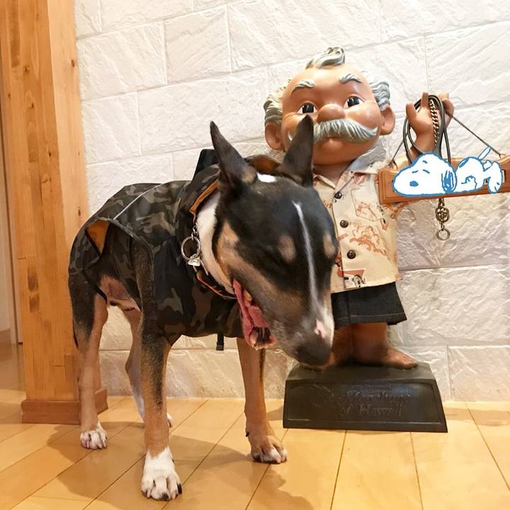 Ce8e2ed0 1834 4b84 956c 514317abf352 1528702645794