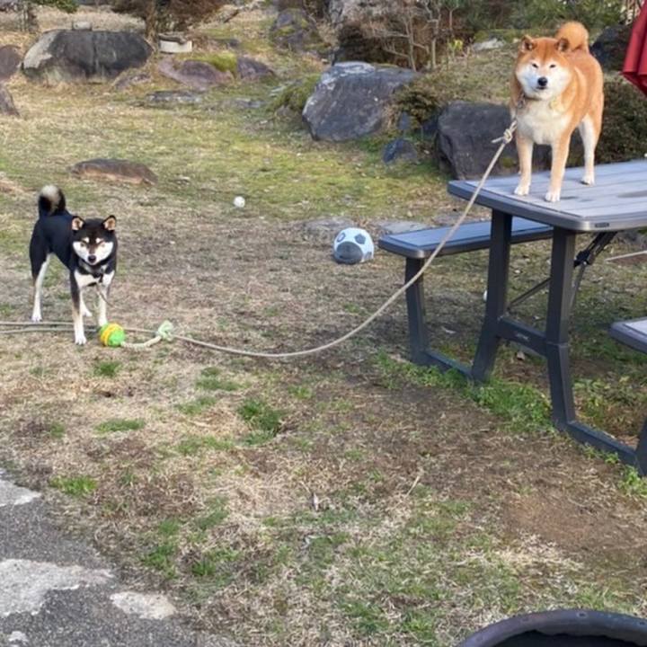 Ce8e3eee b421 465d 8cc7 cf4130abdacf 1646866459924