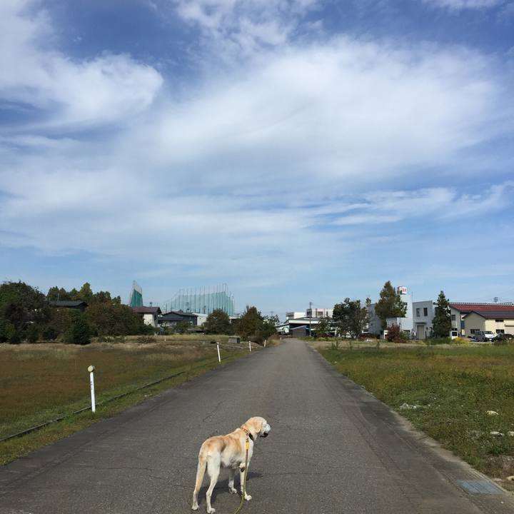 Ce8e5416 d122 4110 b939 0d711a3bfe6d 1540267233272