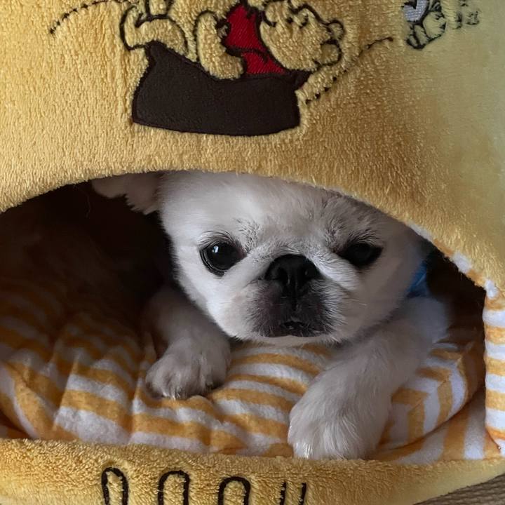 Ce8e8d0e 034f 4279 b868 f48564c38230 1730763255989