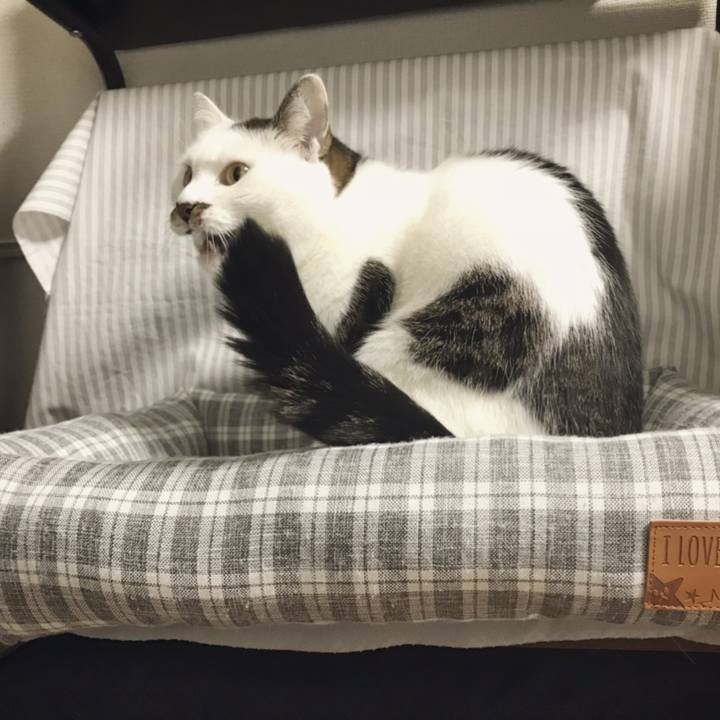 Ce8e97d9 def6 496f 874b 42903141dfd6 1542250690463