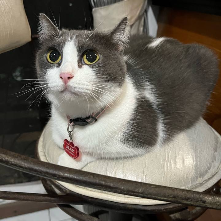 Ce8eed14 b3cc 4bb5 b5a9 e219c37d6572 1764199492146