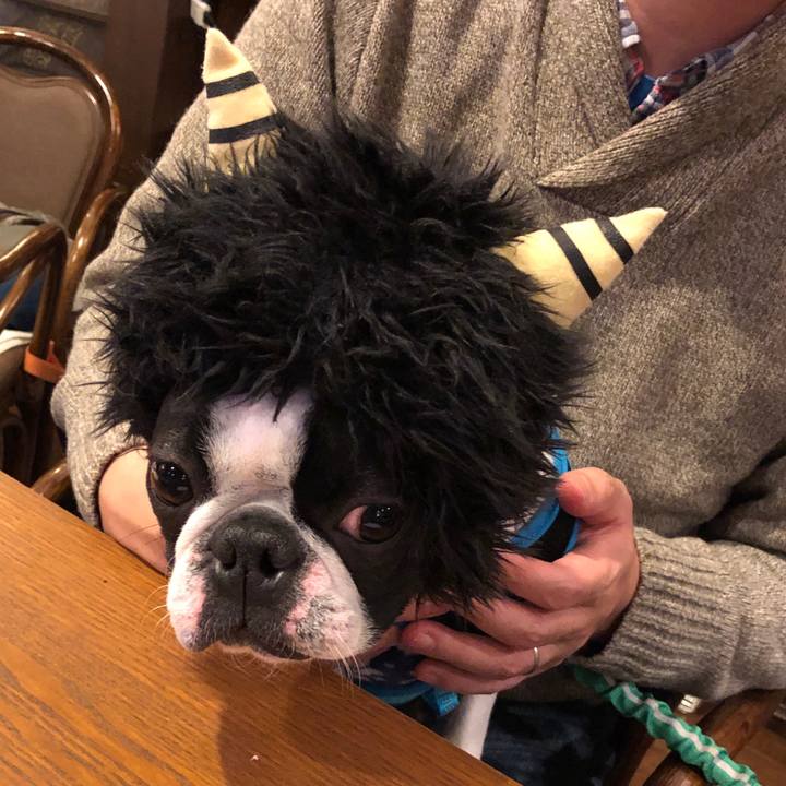 Ce8eff89 a893 464f 8564 6f66200f2a70 1549151042584