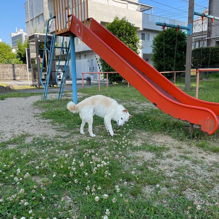 Ce8f1604 2820 4e98 abb5 582092a6fd24 1651575357318