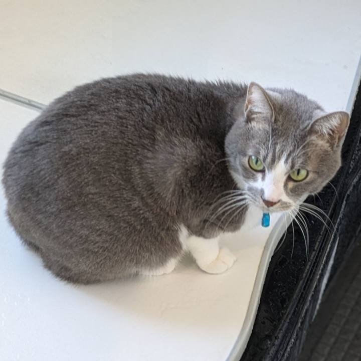 Ce8f387d 3b75 4703 ad74 ea736cc3279f 1738280761155