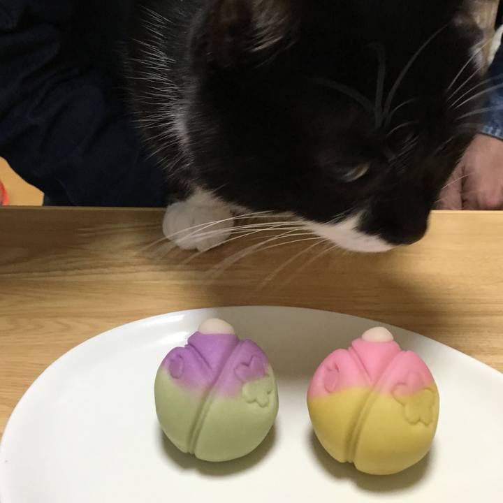 Ce8f3eb2 3dfe 4f29 8a8d c6f0294ee3cf 1520132166893