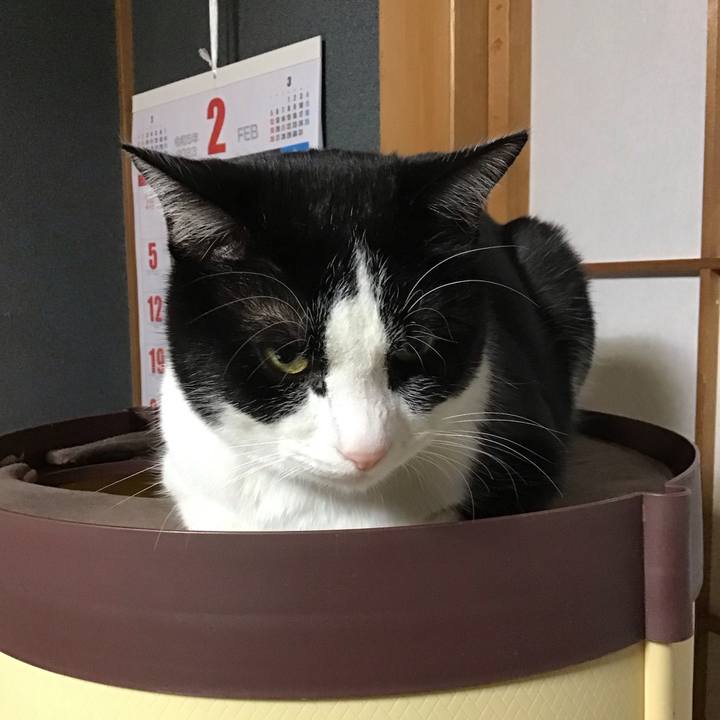 Ce8f52ce 2a13 45dc 85fa 9223d964d667 1676628605582