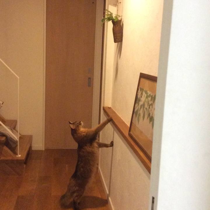 Ce8f80b0 7428 4dab 82f5 eea0da122dfc 1620434494893