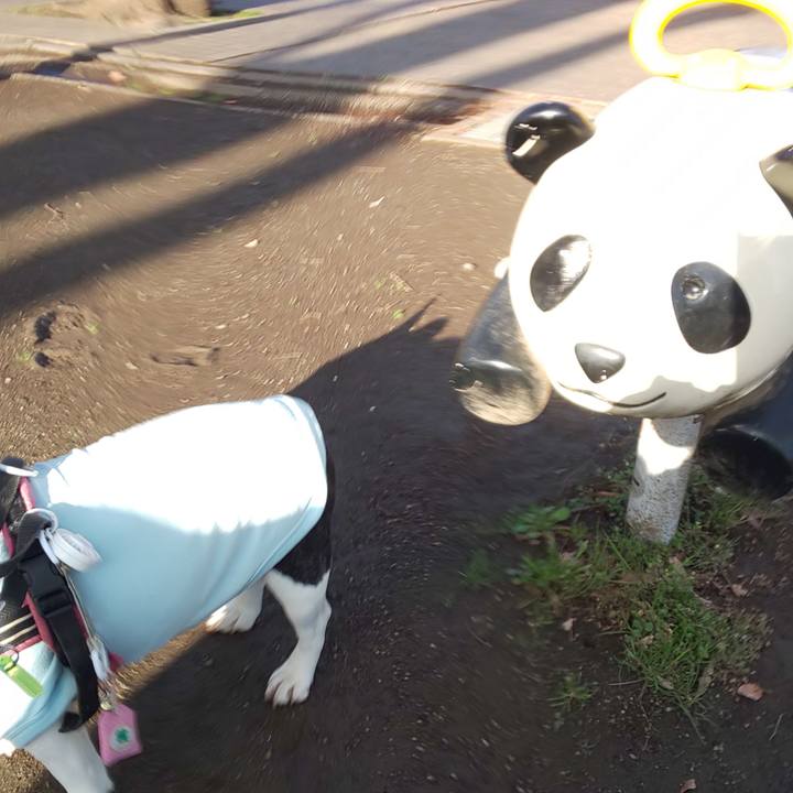 Ce8faaa2 d878 406e aef5 75b5291f7bd1 1553639160153