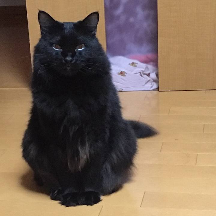 Ce8fc78d 327a 4c0a a258 66e8d89bf108 1507818268088