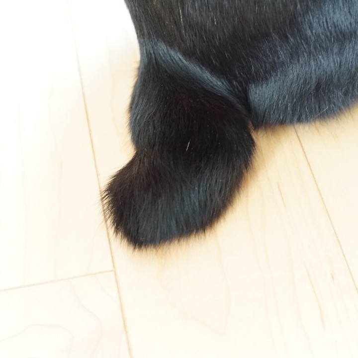 Ce9006a6 2d8c 4c9d 89fc 60d55d481955 1522054595621