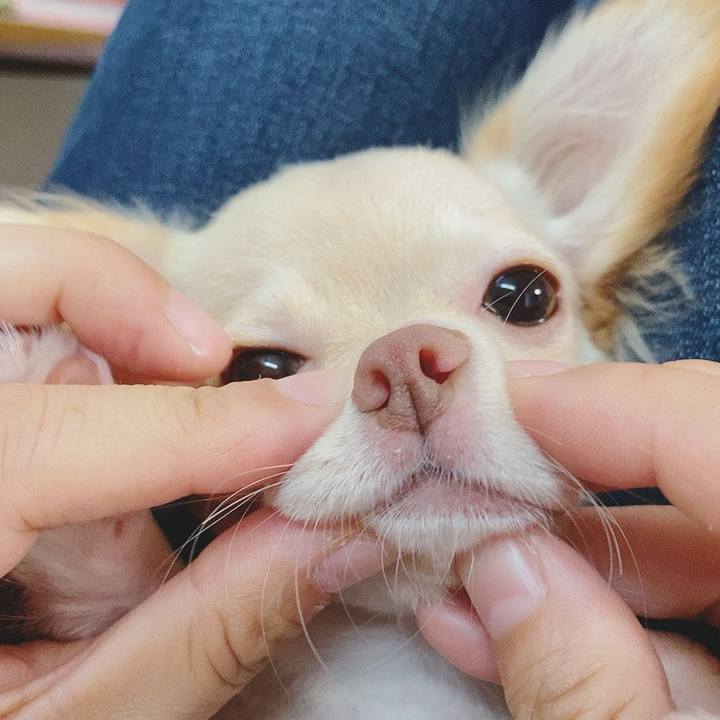 Ce90247c 7f5d 4924 a834 cd853760aea7 1594120754778