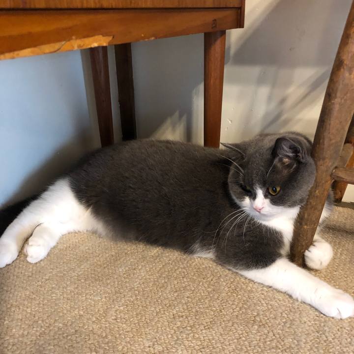 Ce907e32 90b8 4b5d b59c bbb57fc0a3b9 1570079422053