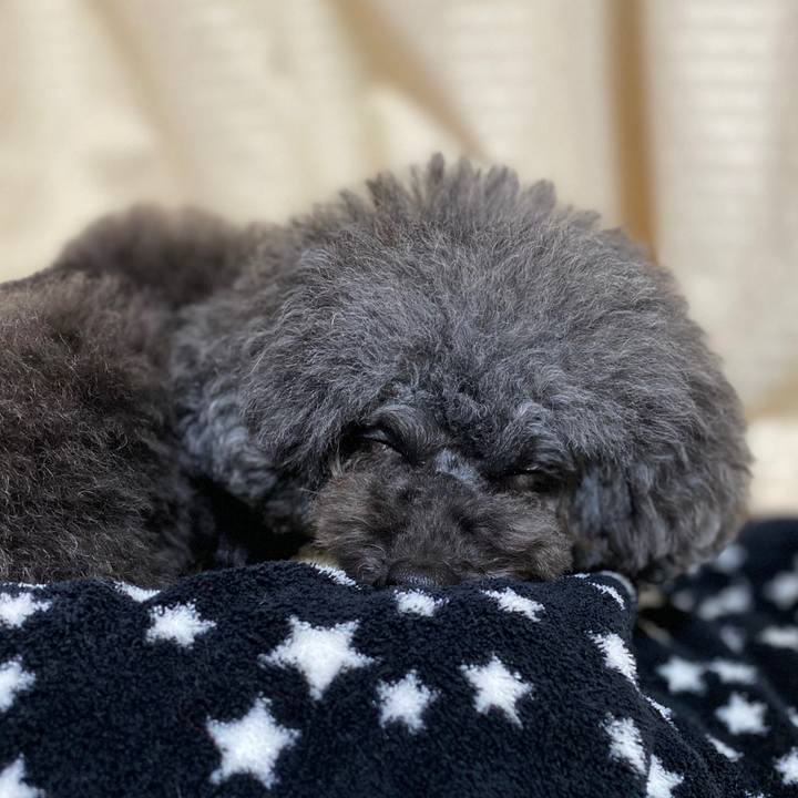 Ce90bb27 0148 4793 b485 b9e46f3fcb5e 1575284042219