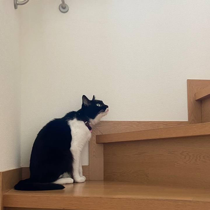 Ce90faa7 3168 4a03 bc71 1064ddeeb1da 1660620499621