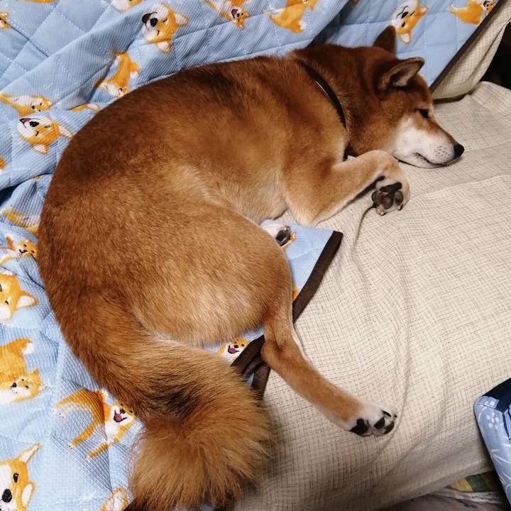 Ce911c31 96c0 4fdf a3ea 1c5ee6522eeb 1601734458655