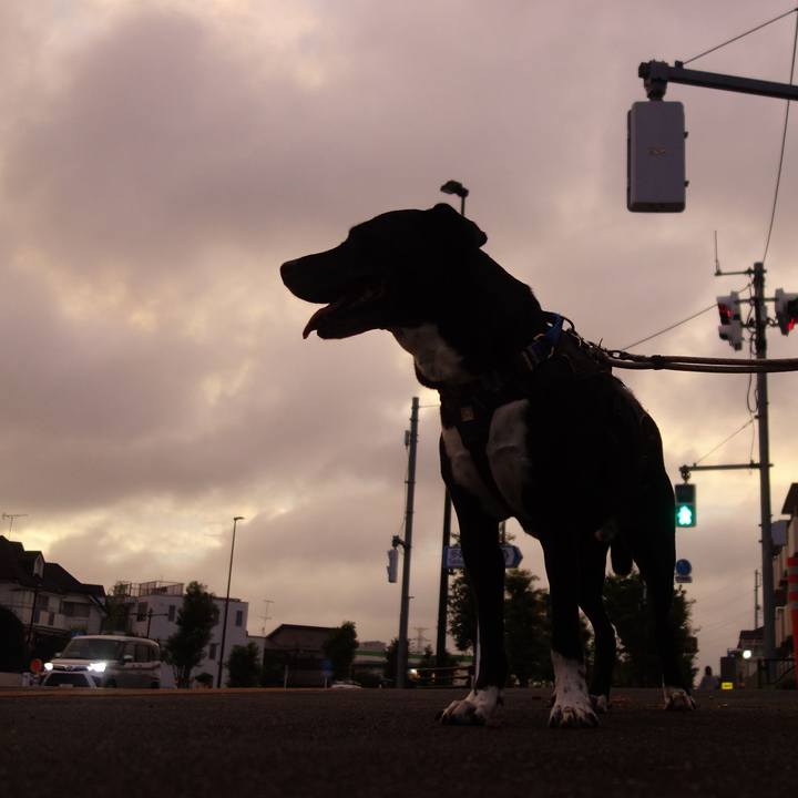 Ce914556 7aba 461a 8665 2b2d67b89711 1658834578632