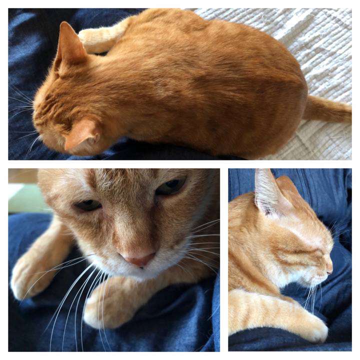 Ce916c6a 38d0 4c57 b502 008495f75c0d 1634074739411