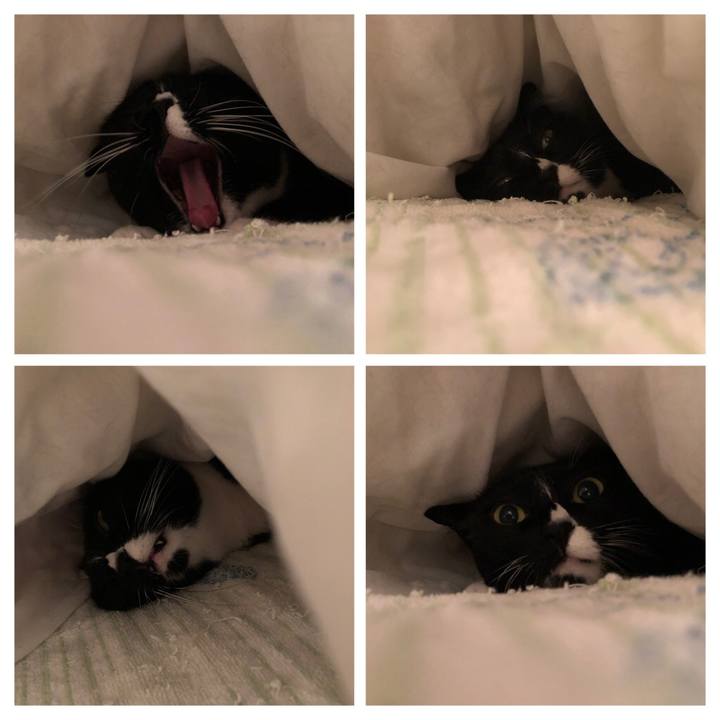 Ce917696 c0e3 45c6 a313 eb6842c27e45 1539035839384