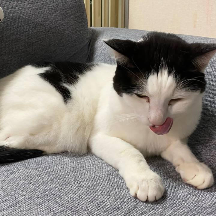 Ce919363 3ba1 48e1 b56b 22c1115d5f4c 1676468180235