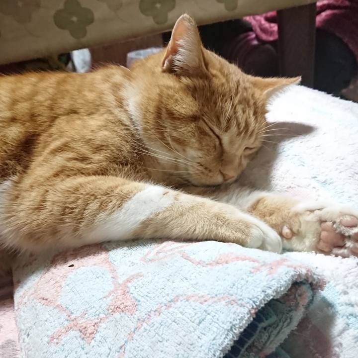 Ce91990e c665 4e6f b228 afd47c830782 1607757479002