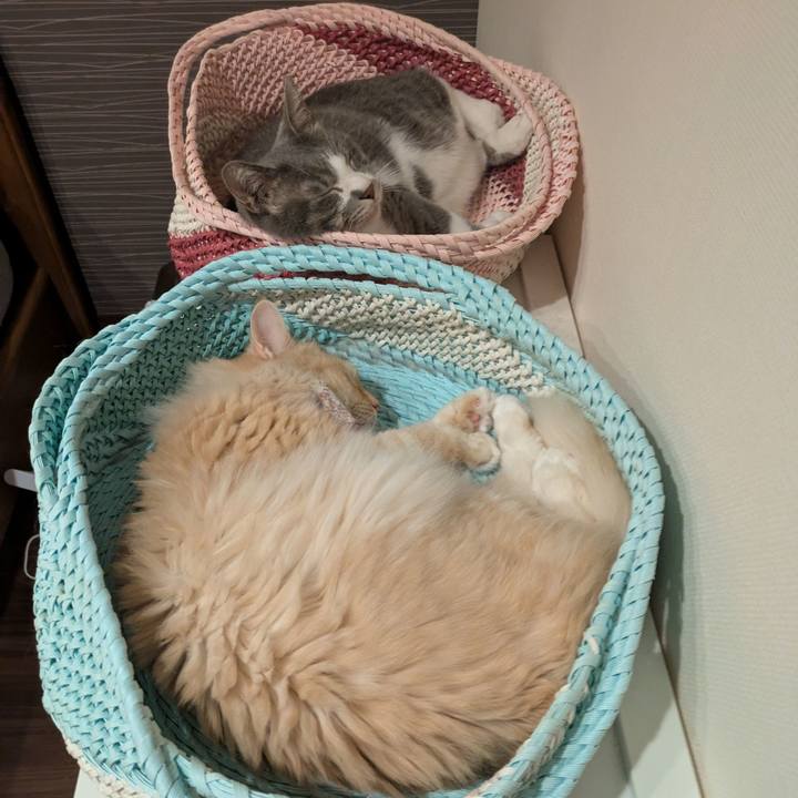 Ce91b675 7a3c 489f b41d d1d52c91e759 1756126325576