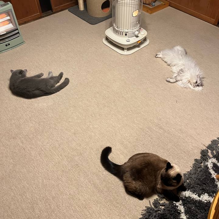 Ce91cc58 83d5 468b 9b2c 0dc623545e0d 1646529219237