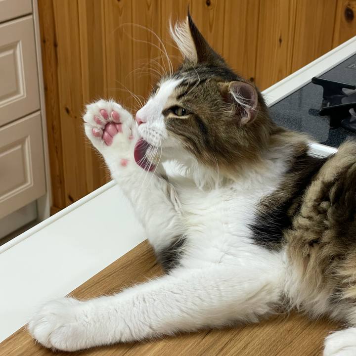 Ce91e129 ad2d 497e 9a60 03827823c4f4 1636365668204