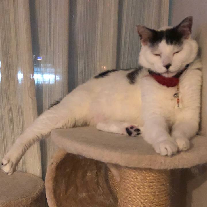 Ce9229e6 b28f 4c43 93f5 60e498b78aa9 1529241405693