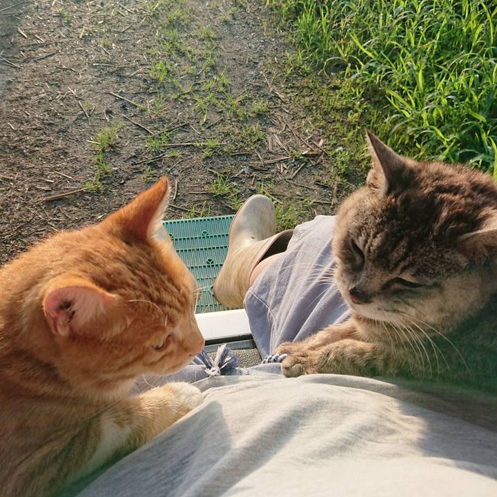 Ce926b49 b04f 4985 acf4 349df010371e 1660381436800