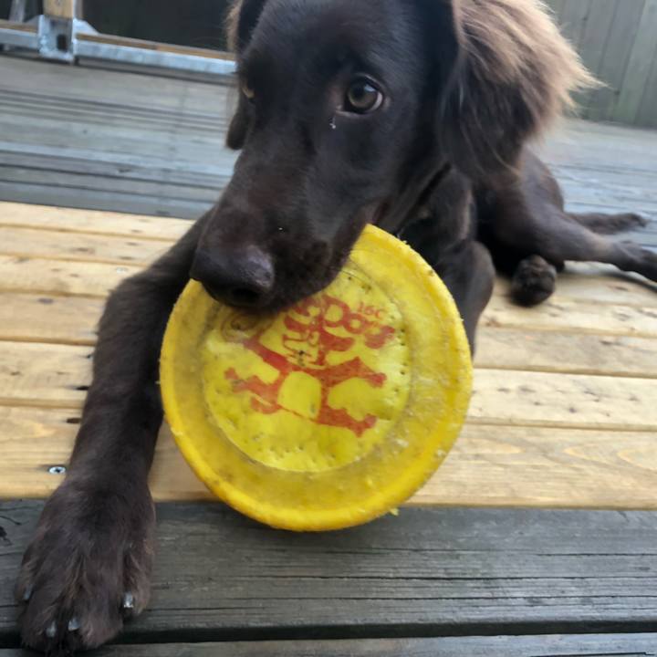 Ce92b071 1273 430d 9054 72a3b90fd189 1561932451744