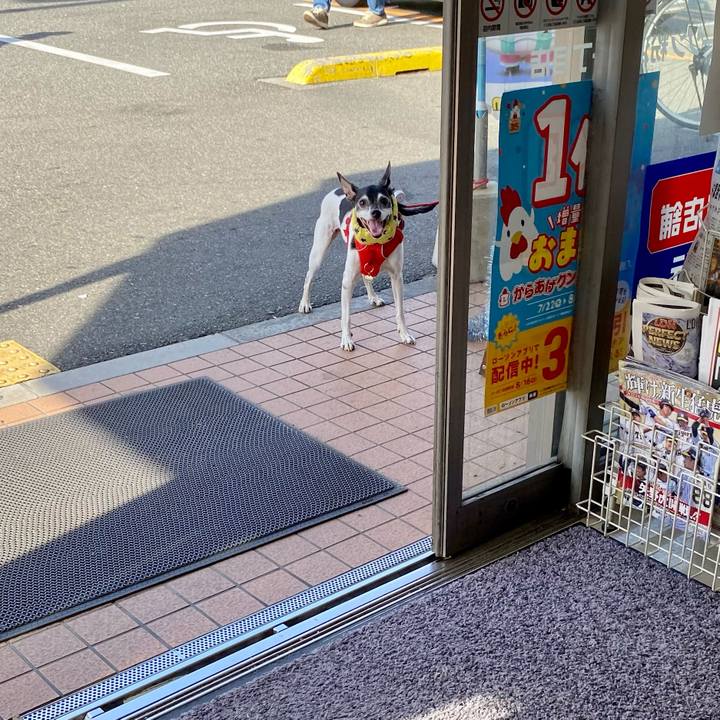 Ce92cccc e620 4e0e a85f 2b75b927c3c9 1627003333487