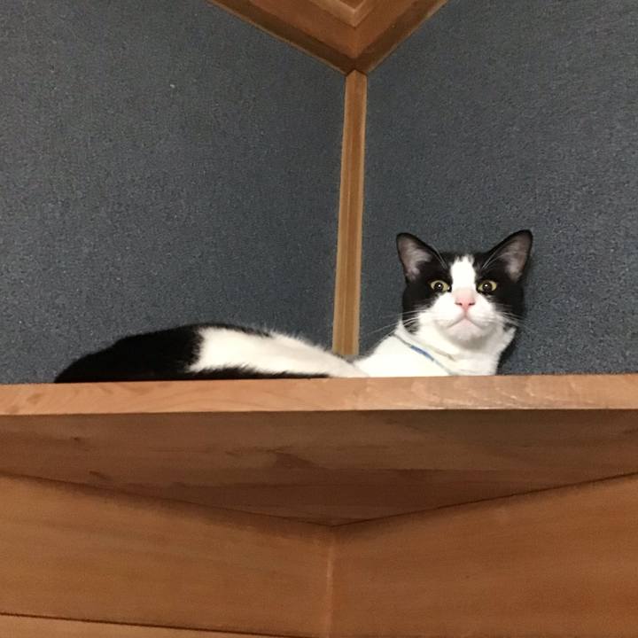 Ce9306ac bbb9 4f0a a355 20752f668111 1693053106121