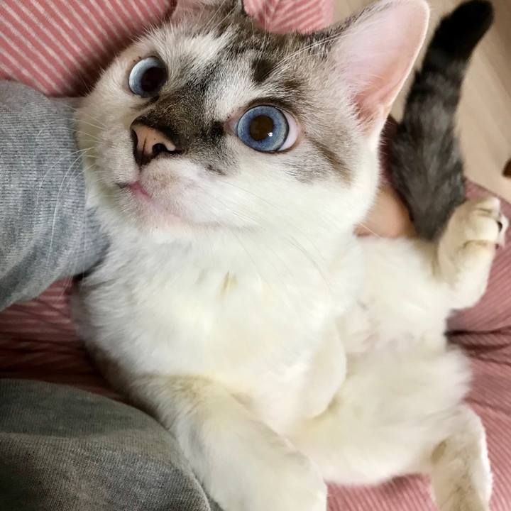 Ce931f60 626f 4138 844d d060d856d3b6 1538184360825