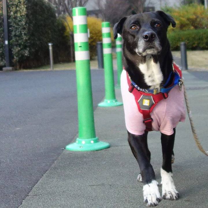 Ce933c9f cf4b 415a a352 9a2bc8db9aa2 1672362064826