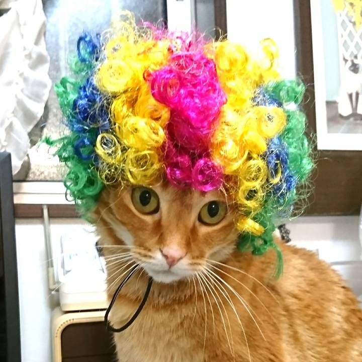 Ce93497e 1ff7 46e6 8459 af3147b4b3ec 1544356498151