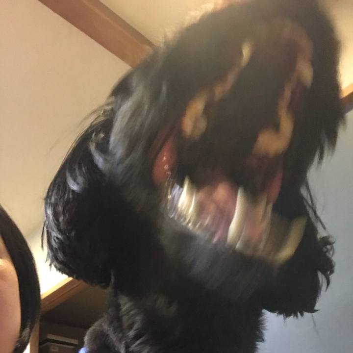 Ce935a01 5c0e 40fd 8316 bd64c1a88ee5 1508460848107