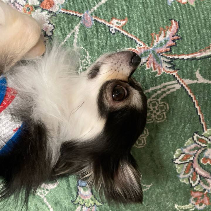 Ce937802 60ff 4435 a859 f1e24bf705bb 1655559204110