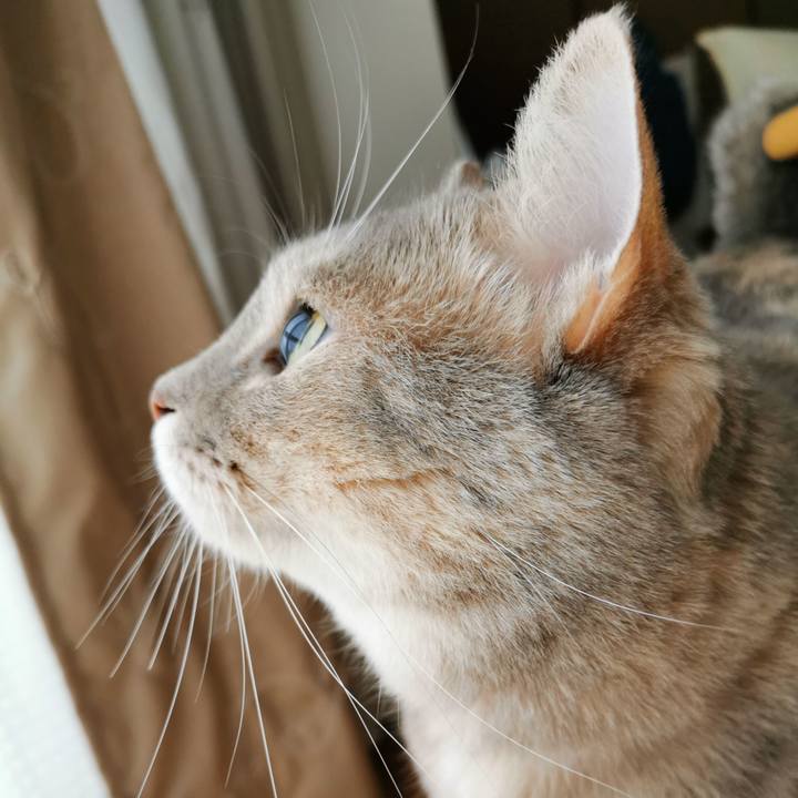 Ce9408e0 b0e0 4c90 9111 5d805eb85437 1630713890875