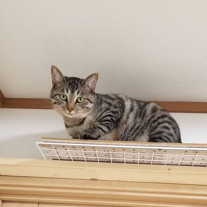 Ce940cf5 4eb9 434e 9dd5 07a59fc581c0 1690909026831